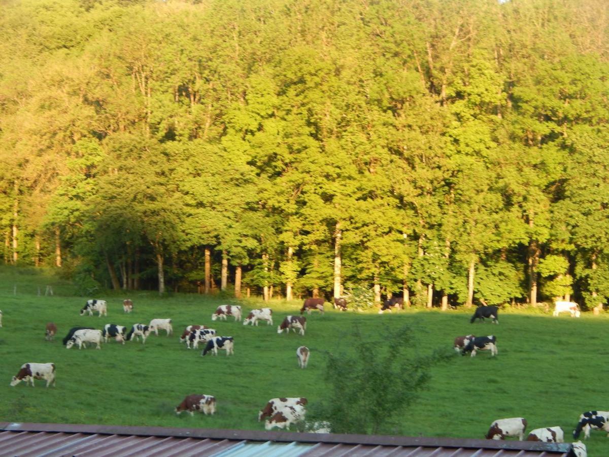 A La Source Du Saolon Bed & Breakfast Culmont Exterior foto